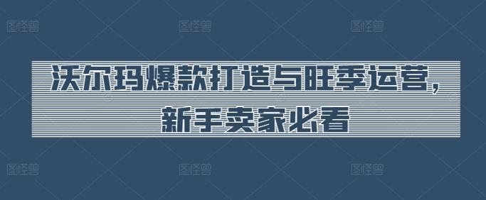 沃尔玛爆款打造与旺季运营，新手卖家必看-test