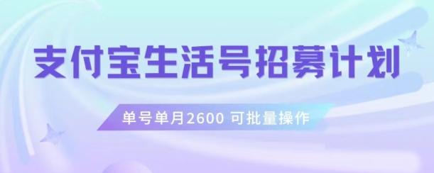 支付宝生活号作者招募计划，单号单月2600，可批量去做，工作室一人一个月轻松1w+【揭秘】-test