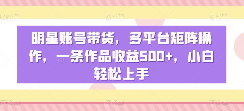 明星账号带货，多平台矩阵操作，一条作品收益500+，小白轻松上手【揭秘】-test