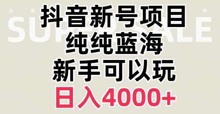 抖音蓝海赛道，必须是新账号，日入4000+【揭秘】-test