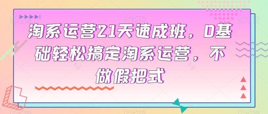 淘系运营21天速成班，0基础轻松搞定淘系运营，不做假把式-test