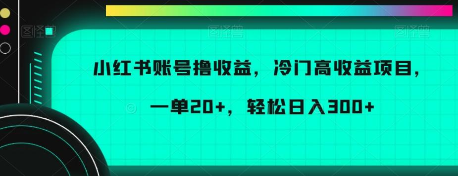 小红书账号撸收益，冷门高收益项目，一单20+，轻松日入300+【揭秘】-test