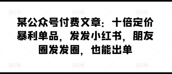 某公众号付费文章：十倍定价暴利单品，发发小红书，朋友圈发发圈，也能出单-test