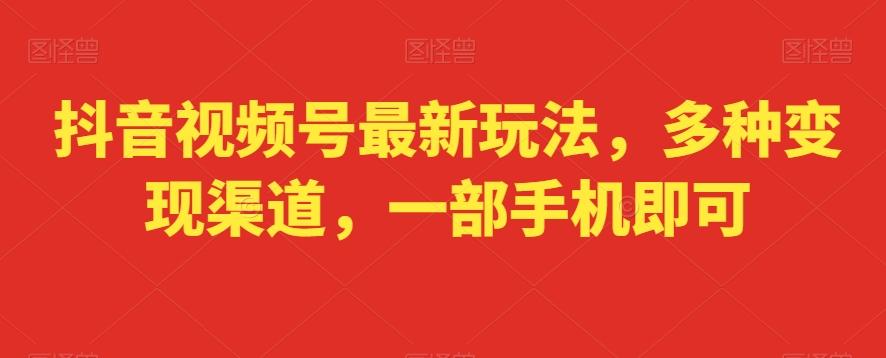 抖音视频号最新玩法，多种变现渠道，一部手机即可-test