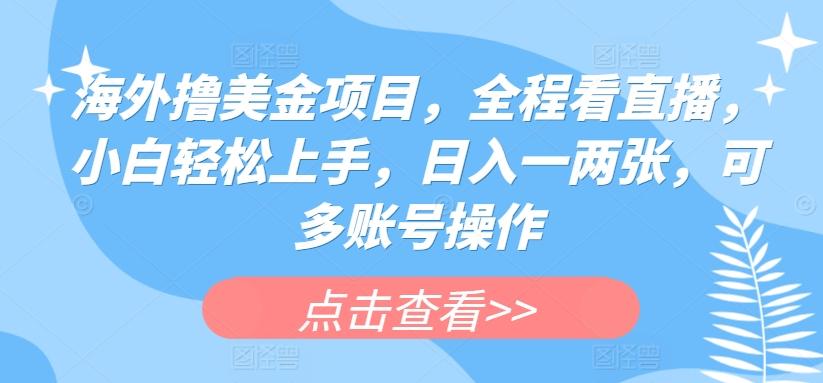 海外撸美金项目，全程看直播，小白轻松上手，日入一两张，可多账号操作【揭秘】-test