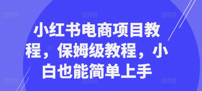 小红书电商项目教程，保姆级教程，小白也能简单上手-test
