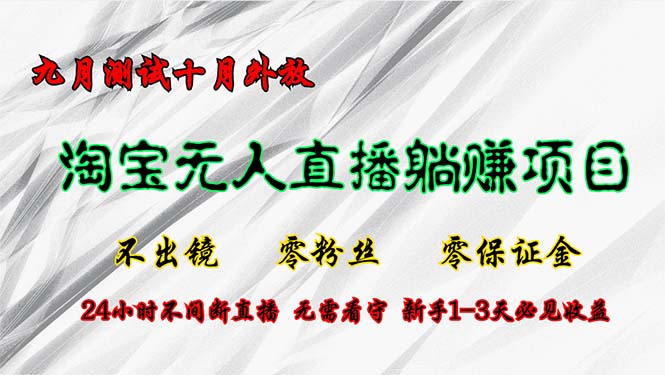 淘宝无人直播最新玩法，九月测试十月外放，不出镜零粉丝零保证金，24小…-test
