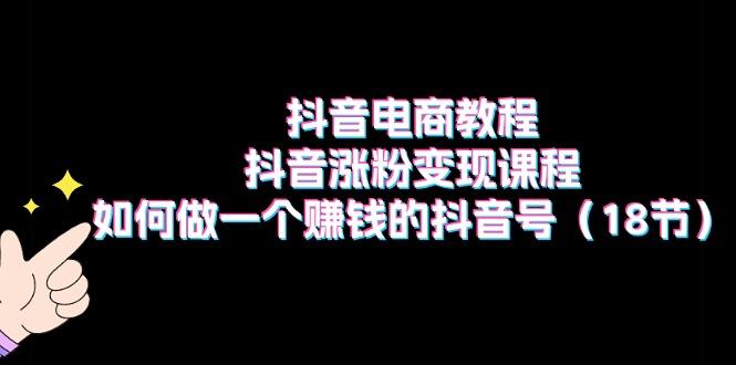抖音电商教程：抖音涨粉变现课程：如何做一个赚钱的抖音号(18节-test