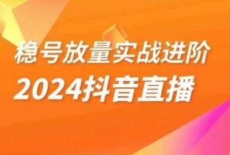 稳号放量实战进阶—2024抖音直播，直播间精细化运营的几大步骤-test