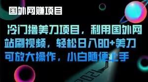 冷门撸美刀项目，利用国外网站刷视频，轻松日入80+美刀，可放大操作，小白随便上手-test