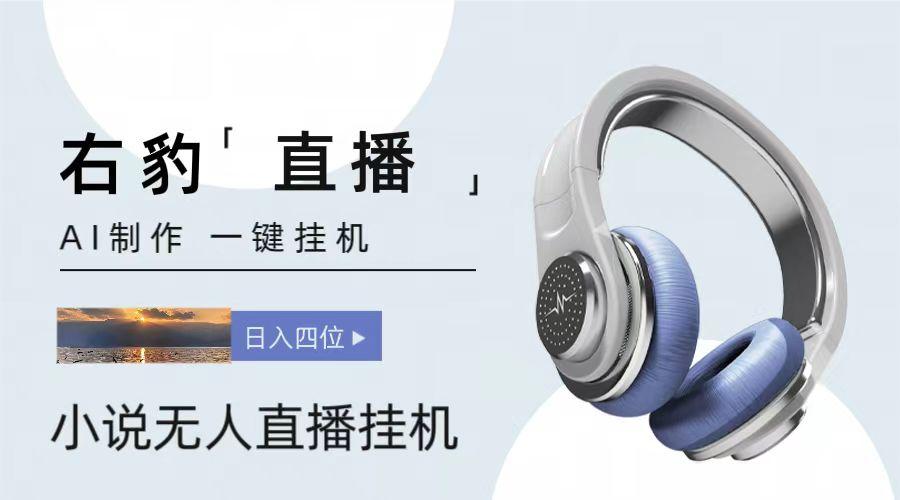 右豹小说无人直播挂机吸金项目，简单易行收益稳定， 月入1000+-test