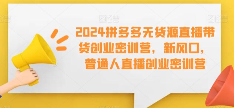 2024拼多多无货源直播带货创业密训营，新风口，普通人直播创业密训营-test