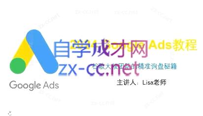 谷歌大叔·2024Google Ads教程-test