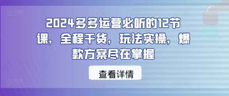 2024多多运营必听的12节课，全程干货，玩法实操，爆款方案尽在掌握-test