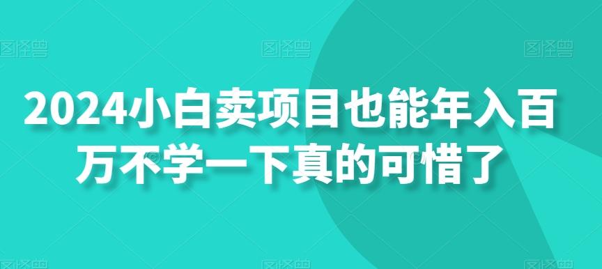 2024小白卖项目也能年入百万不学一下真的可惜了-test