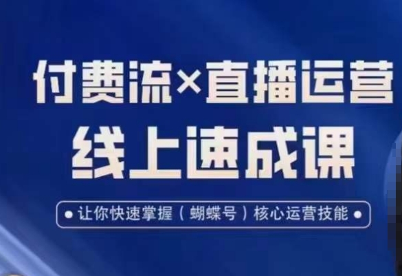 视频号付费流实操课程，付费流✖️直播运营速成课，让你快速掌握视频号核心运营技能-test