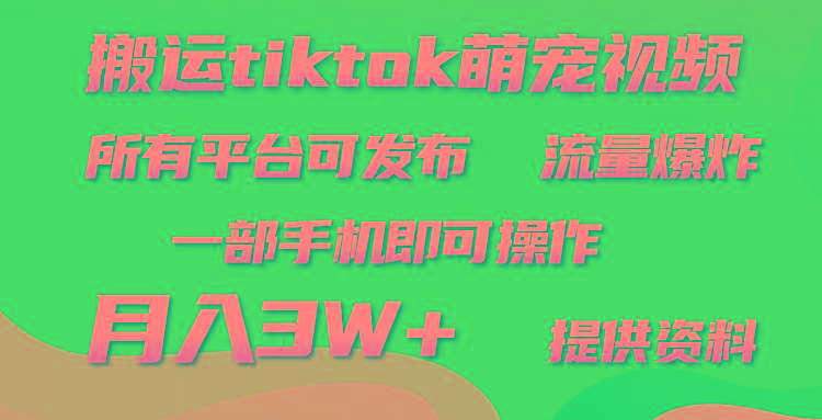 (9618期)搬运Tiktok萌宠类视频，一部手机即可。所有短视频平台均可操作，月入3W+-test