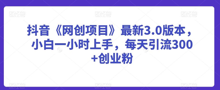 抖音《网创项目》最新3.0版本，小白一小时上手，每天引流300+创业粉【揭秘】-test