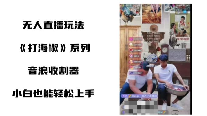 打海椒无人直播整蛊项目，小白轻松上手撸音浪收割器（教程+工具+素材）-test
