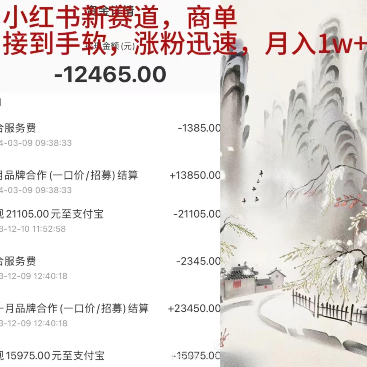 (9476期)小红书新赛道，商单接到手软，涨粉迅速，月入1w+-test