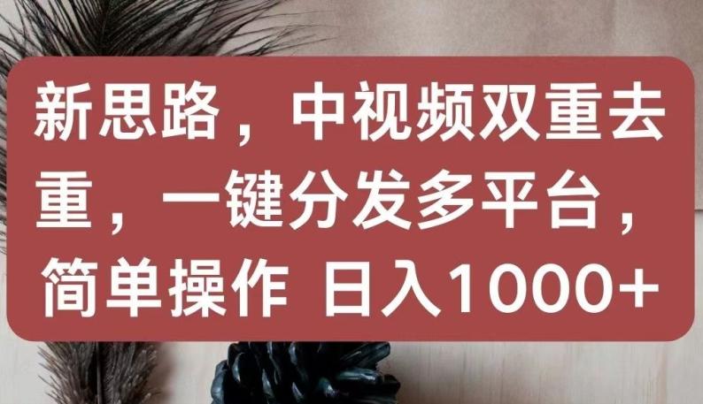 新思路，中视频双重去重，一键分发多平台，简单操作，日入1000+【揭秘】-test