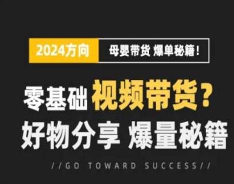 短视频母婴赛道实操流量训练营，零基础视频带货，好物分享，爆量秘籍-test