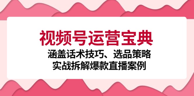 视频号运营宝典：涵盖话术技巧、选品策略、实战拆解爆款直播案例-test