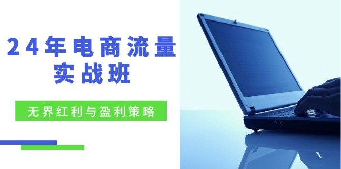 24年电商流量实战班：无界 红利与盈利策略，终极提升/关键词优化/精准…-test