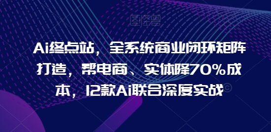 Ai终点站，全系统商业闭环矩阵打造，帮电商、实体降70%成本，12款Ai联合深度实战【0906更新】-test