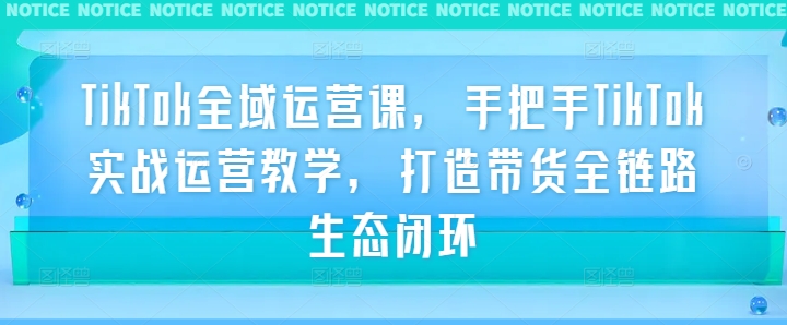 TikTok全域运营课，手把手TikTok实战运营教学，打造带货全链路生态闭环-test