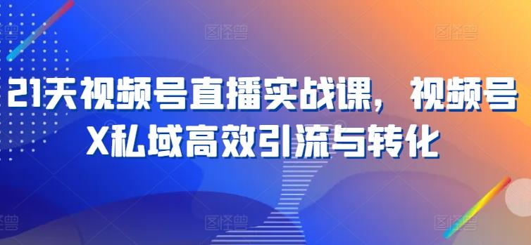 21天视频号直播实战课，视频号X私域高效引流与转化-test