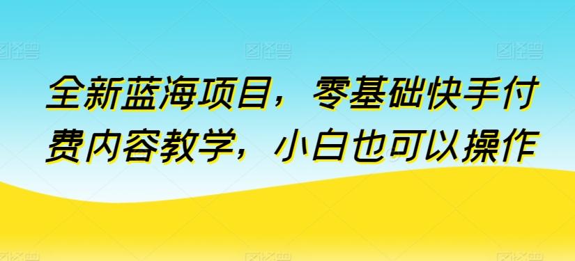 全新蓝海项目，零基础快手付费内容教学，小白也可以操作【揭秘】-test