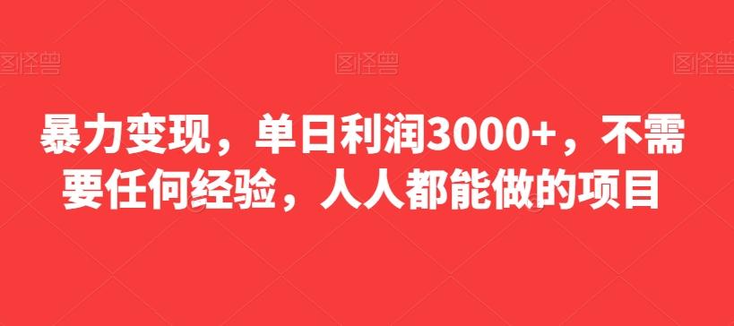 暴力变现，单日利润3000+，不需要任何经验，人人都能做的项目-test