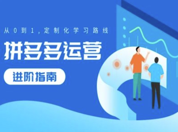 拼多多运营进阶指南，从0到1定制化学习路线-test
