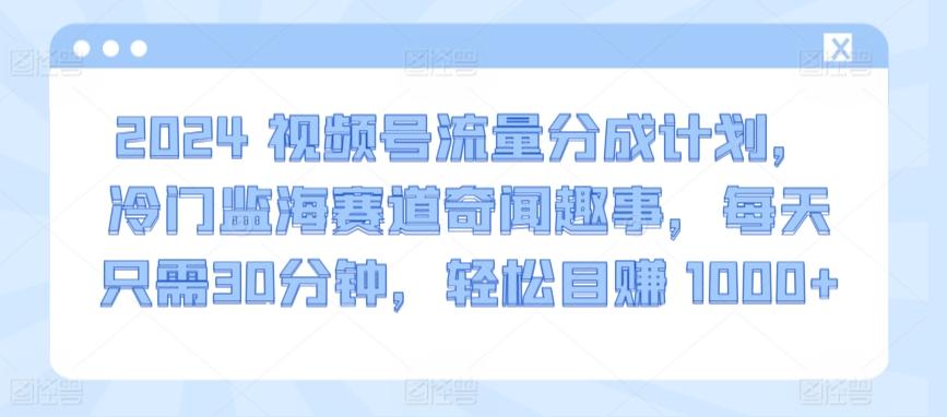 2024视频号流量分成计划，冷门监海赛道奇闻趣事，每天只需30分钟，轻松目赚 1000+【揭秘】-test