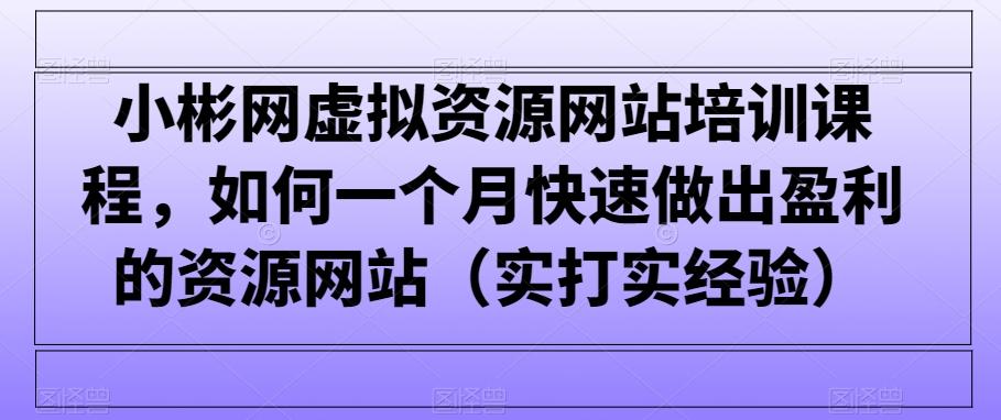 小彬网虚拟资源网站培训课程，如何一个月快速做出盈利的资源网站(实打实经验)-test