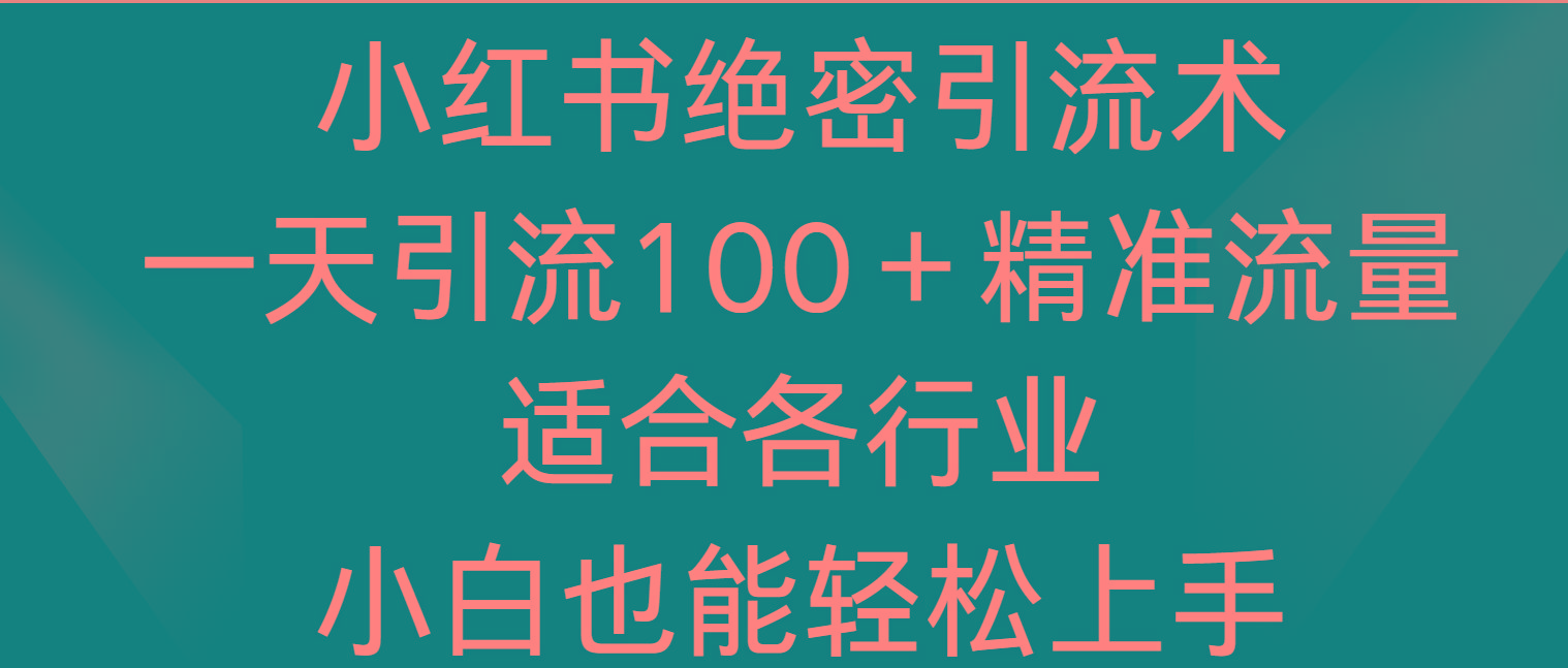 小红书绝密引流术，一天引流100＋精准流量，适合各个行业，小白也能轻松上手-test