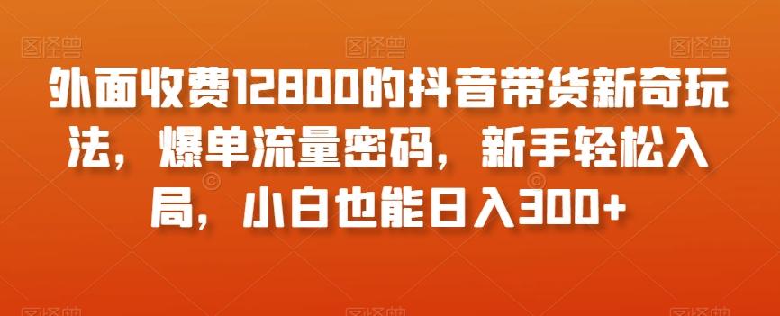 外面收费12800的抖音带货新奇玩法，爆单流量密码，新手轻松入局，小白也能日入300+【揭秘】-test