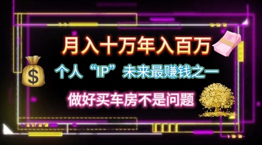 个人“ip”月入10w，年入100w-test