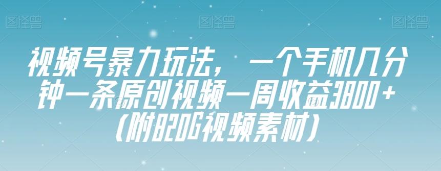 视频号暴力玩法，一个手机几分钟一条原创视频一周收益3800+（附820G视频素材）-test