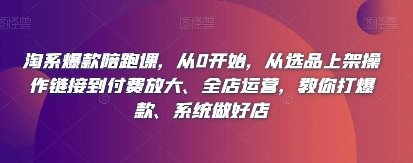 淘系爆款陪跑课，从0开始，从选品上架操作链接到付费放大、全店运营，教你打爆款、系统做好店-test