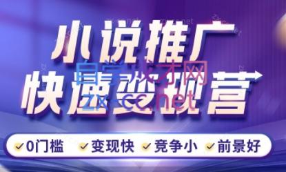 洲洲老师·小说推广快速变现营-test