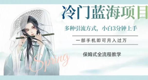 冷门蓝海项目，操作简单，小白3分钟上手，多种引流方式，保姆式全流程教学【揭秘】-test