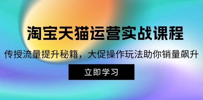 淘宝&天猫运营实战课程，传授流量提升秘籍，大促操作玩法助你销量飙升-test