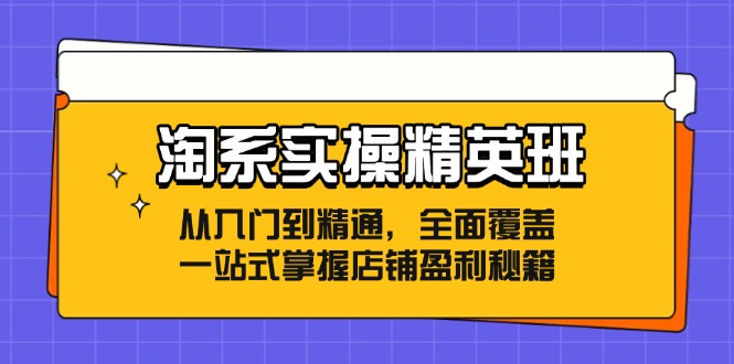 淘系实操精英班：从入门到精通，全面覆盖，一站式掌握店铺盈利秘籍-test