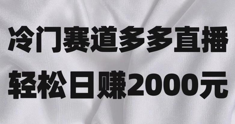 冷门赛道拼多多直播，简单念稿子，日收益2000＋【揭秘】-test