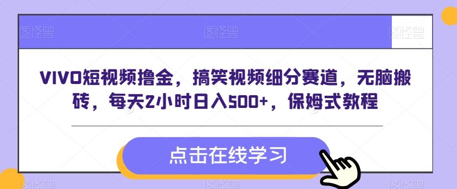 VIVO短视频撸金，搞笑视频细分赛道，无脑搬砖，每天2小时日入500+，保姆式教程-test