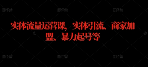 实体流量运营课，实体引流、商家加盟、暴力起号等-test
