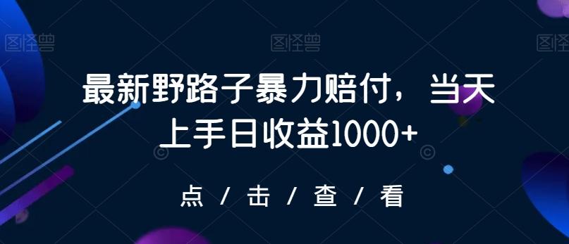最新野路子暴力赔付，当天上手日收益1000+【仅揭秘】-test