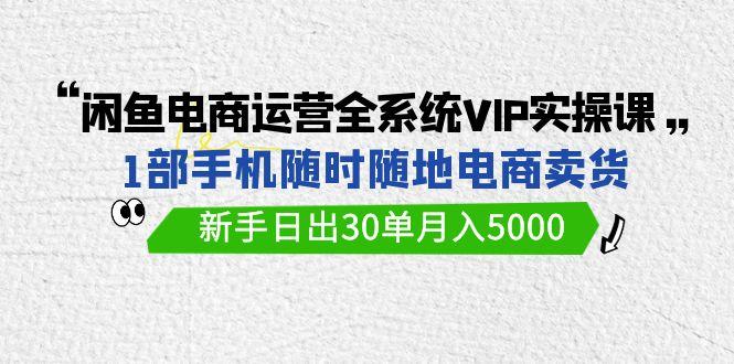 (9547期)闲鱼电商运营全系统VIP实战课，1部手机随时随地卖货，新手日出30单月入5000-test